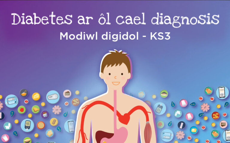 Croeso i SEREN Diabetes adeg diagnosis-CA3